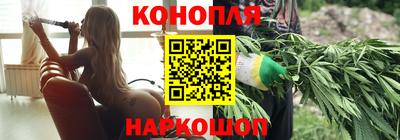 сатива Усть-Джегута