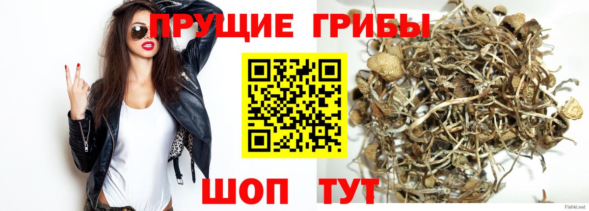 Галлюциногенные грибы Magic Shrooms  Вход с VPN  Новочебоксарск 